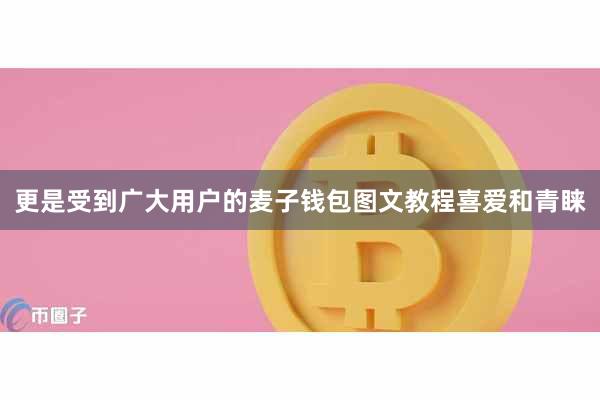 更是受到广大用户的麦子钱包图文教程喜爱和青睐