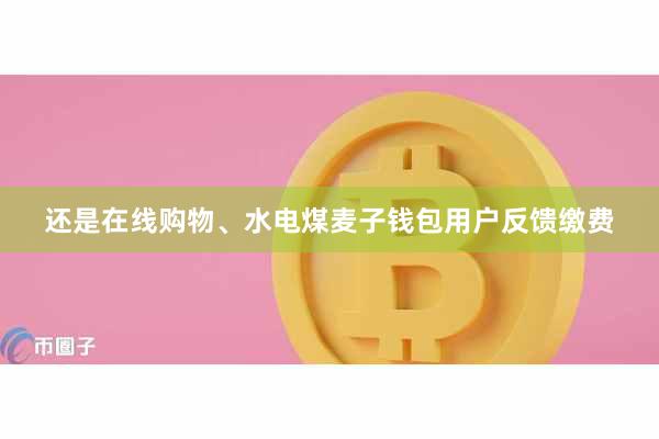还是在线购物、水电煤麦子钱包用户反馈缴费