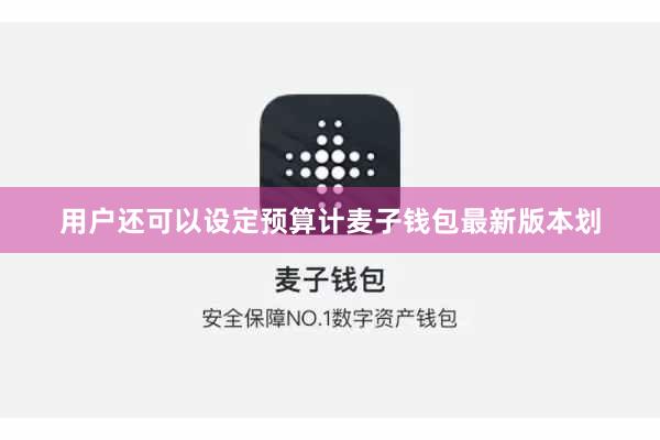 用户还可以设定预算计麦子钱包最新版本划