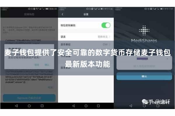 麦子钱包提供了安全可靠的数字货币存储麦子钱包最新版本功能