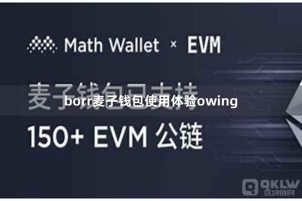 borr麦子钱包使用体验owing