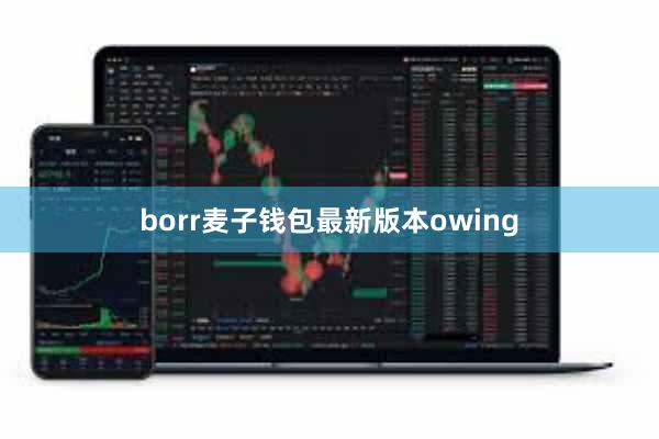 borr麦子钱包最新版本owing