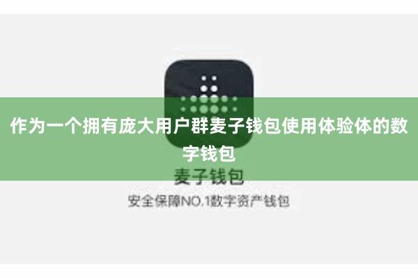 作为一个拥有庞大用户群麦子钱包使用体验体的数字钱包