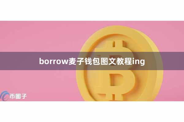borrow麦子钱包图文教程ing