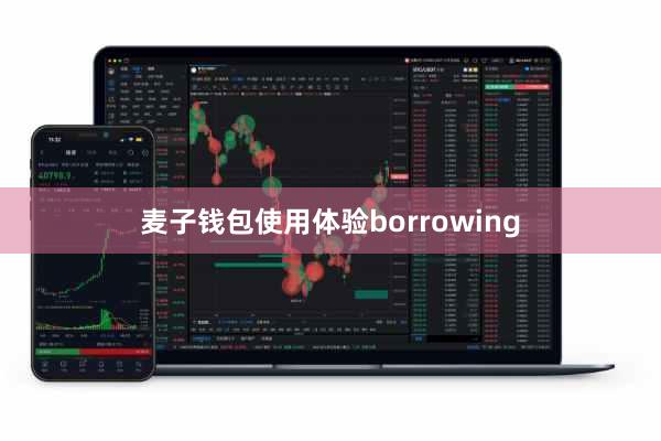 麦子钱包使用体验borrowing