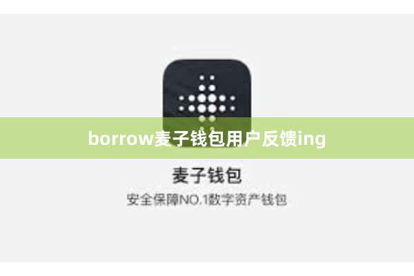 borrow麦子钱包用户反馈ing