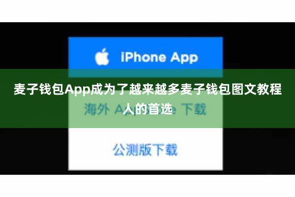 麦子钱包App成为了越来越多麦子钱包图文教程人的首选