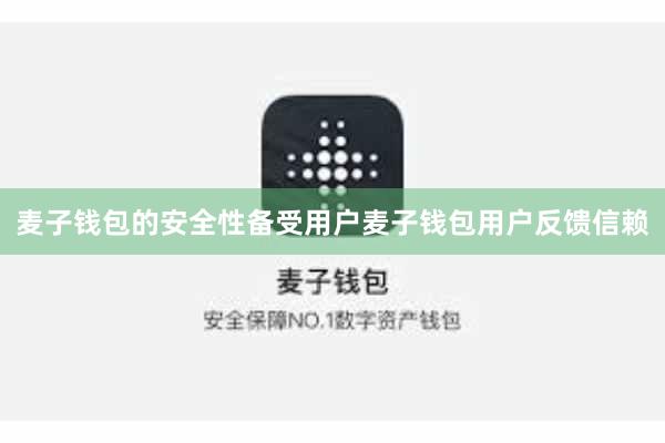 麦子钱包的安全性备受用户麦子钱包用户反馈信赖