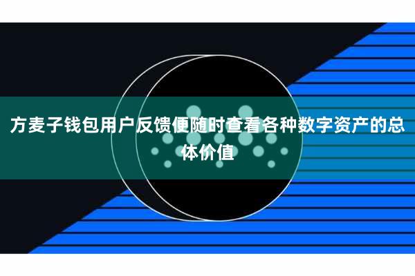 方麦子钱包用户反馈便随时查看各种数字资产的总体价值