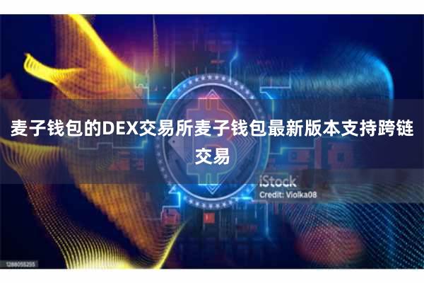 麦子钱包的DEX交易所麦子钱包最新版本支持跨链交易