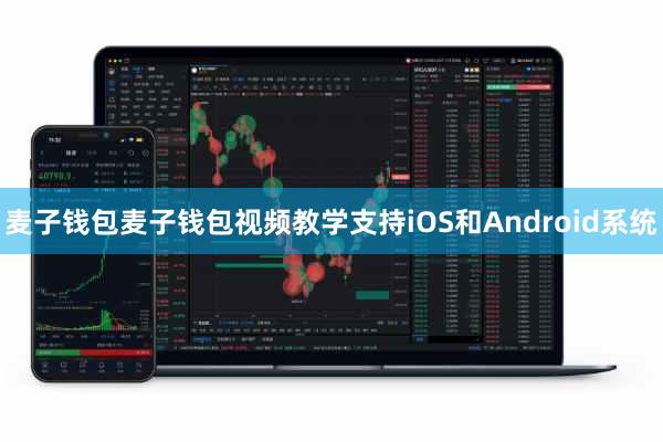 麦子钱包麦子钱包视频教学支持iOS和Android系统