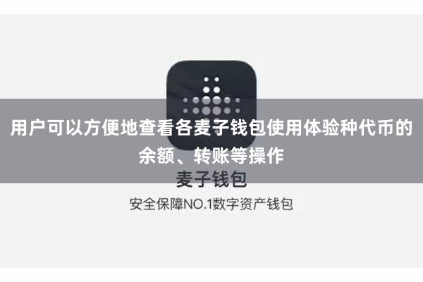 用户可以方便地查看各麦子钱包使用体验种代币的余额、转账等操作
