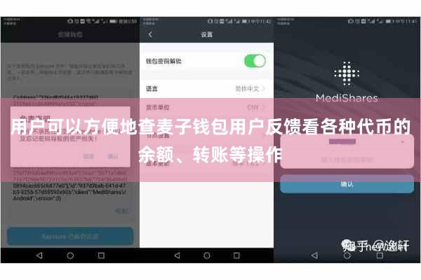 用户可以方便地查麦子钱包用户反馈看各种代币的余额、转账等操作