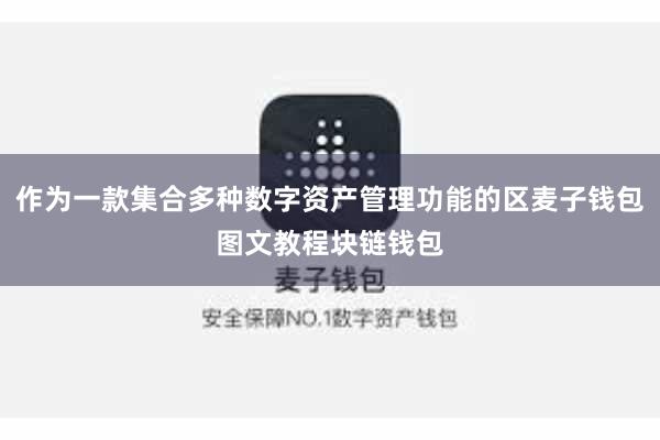 作为一款集合多种数字资产管理功能的区麦子钱包图文教程块链钱包