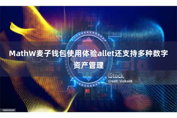 MathW麦子钱包使用体验allet还支持多种数字资产管理